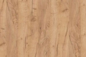 dąb złoty dąb złoty